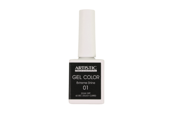 Artistic Gel color extreme shine (shade 01)